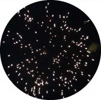 鳳凰(ほうおう)の誕生物語♪　鳳凰(ほうおう)【打上げ花火】