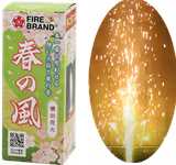 春一番を思わせる「強い火柱」と「風の音」　春の風【噴水花火】