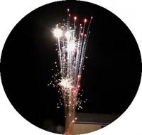 鳳凰から生まれ邪を焼き尽くす　 炎をまとった神鳥　朱雀(すざく )【打上げ花火】