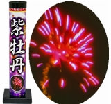 「線」でなく「点」で表現　高貴な気品　紫牡丹【打上げ花火】