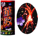 4000を超える家紋の中から!? 華紋【打上げ花火】